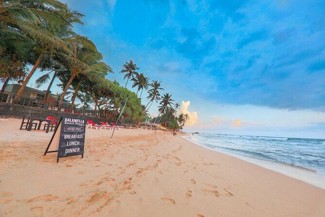 Coastal Ride to Galle from Wadduwa - Exploring the Tour in Detail: What Makes It Special