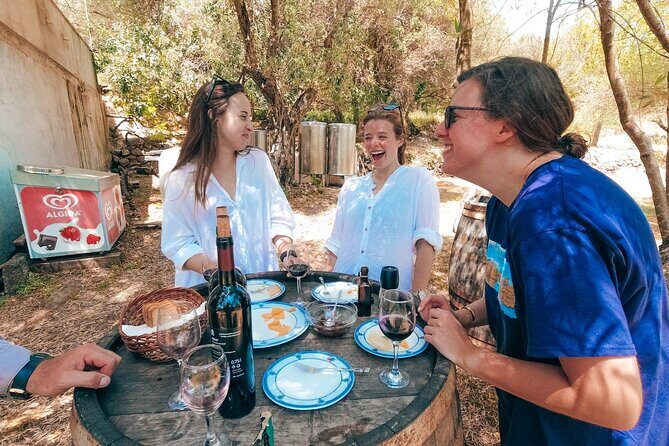 Coastal Vineyards: A Dream Wine Tour to Elaphiti Islands - Key Points