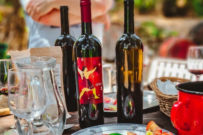 Coastal Vineyards: A Dream Wine Tour to Elaphiti Islands - Who Should Consider This Tour?