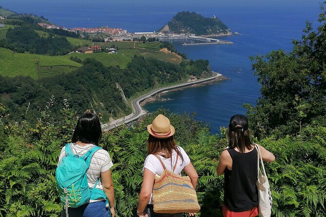 Coastal "Winery Camino Trail" Walking Tour from San Sebastian - Starting Point and Transportation