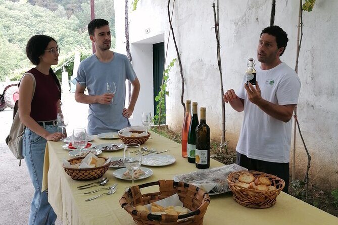 Coastal "Winery Camino Trail" Walking Tour from San Sebastian - The Value of This Tour