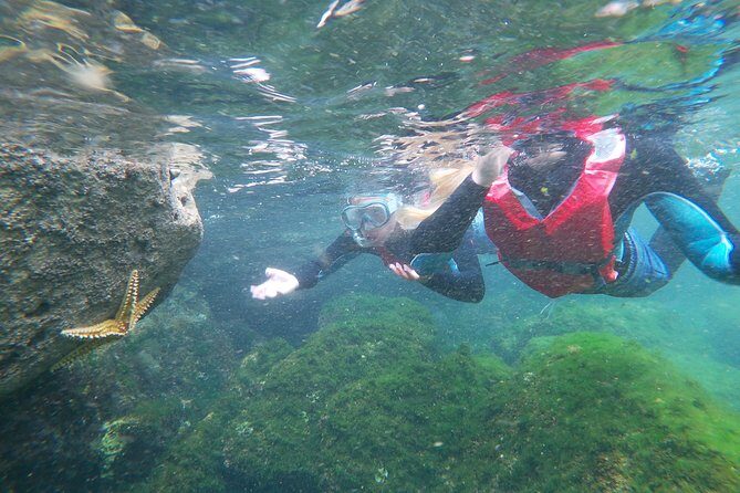 Coasteering adventure with snorkeling: kids version - Who Will Love This Tour?