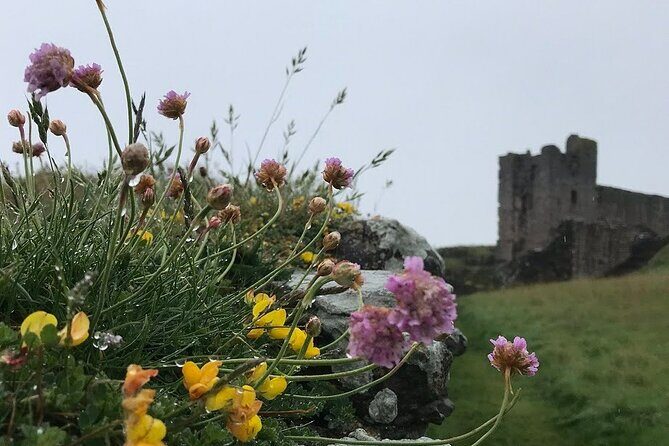 Coasts & Ghosts: Haunted Northumberland - Chillingham Castle - Practical Details and Value