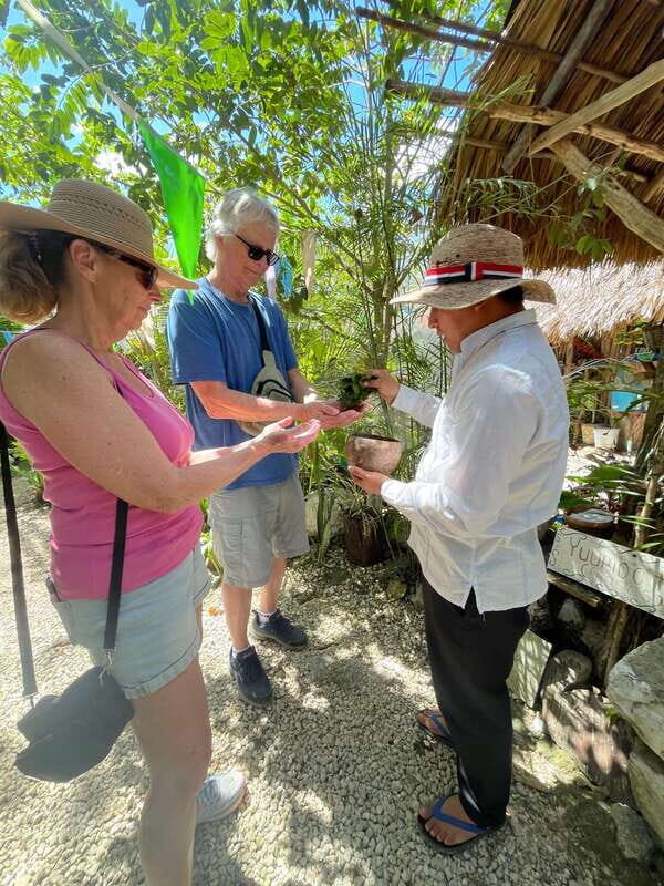 Coba: Adventure, Nature, and Mayan Heritage - Who Will Love This Tour?