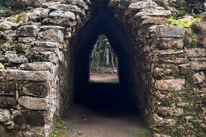 Coba and Tulum 2 Cenotes 100% Private Tour - Who Will Love This Tour?