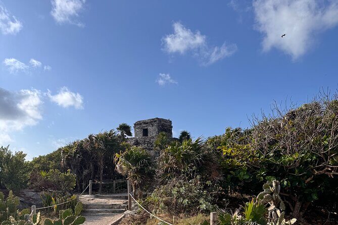 Coba and Tulum 2 Cenotes 100% Private Tour - The Sum Up