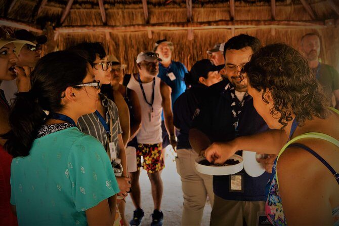 Coba and Tulum, cenote swim and buffet lunch - Who Would Love This Tour?