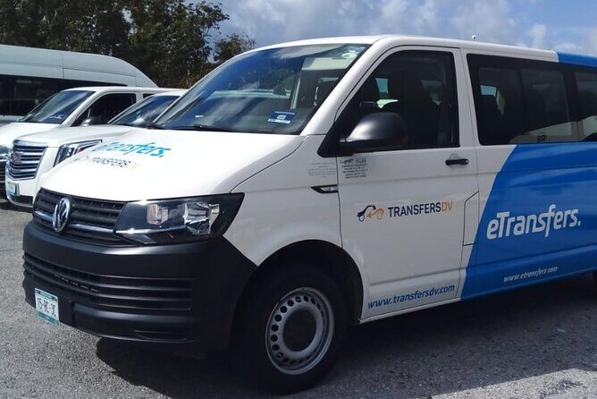 Coba & Mayan Cenote Private Tour - What Travelers Say (Based on Reviews)