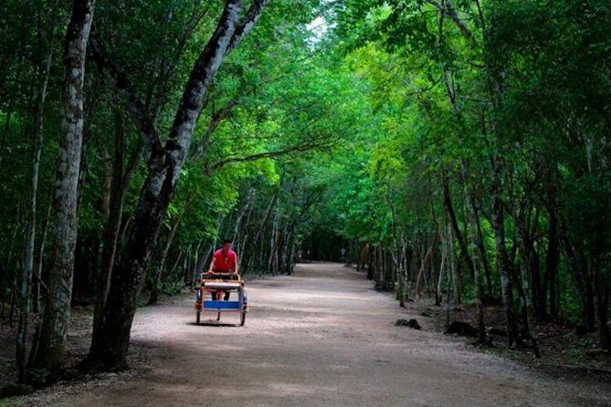 Coba Mayan Ruins and Cenote Cultural Full-Day Tour from Riviera Maya - Practical Details: Transport, Timing, and Inclusions