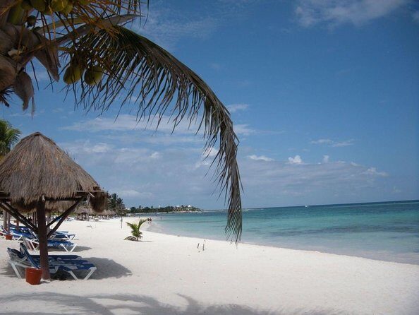 Coba Mayan Ruins and Sea Turtles Snorkeling with Lunch - Key Points