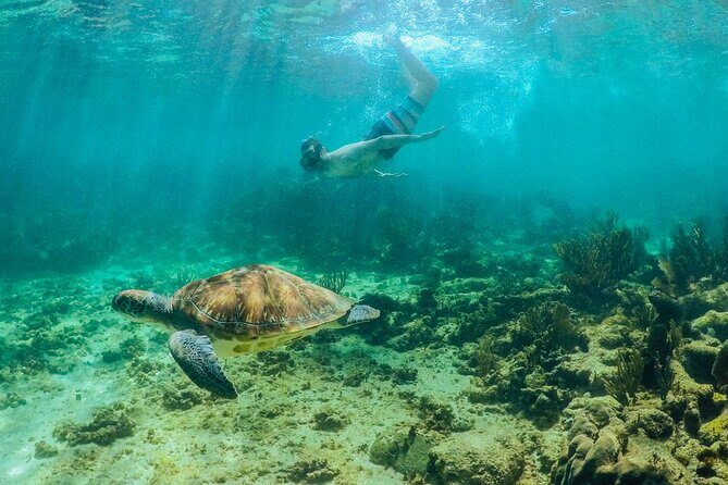 Coba Mayan Ruins and Sea Turtles Snorkeling with Lunch - FAQs