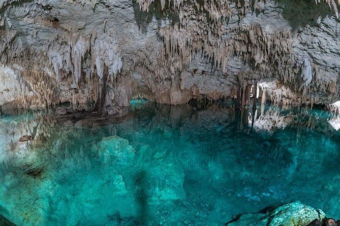 Coba Private Tour  Ancient Ruins & Refreshing Cenote Swim - What Makes This Tour Stand Out?
