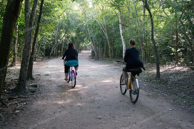 Coba Private Tour  Ancient Ruins & Refreshing Cenote Swim - The Sum Up
