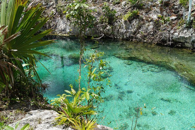 Coba, Tulum, Cenote and Mayan Village All Inclusive Tour - Who Will Love This Tour?