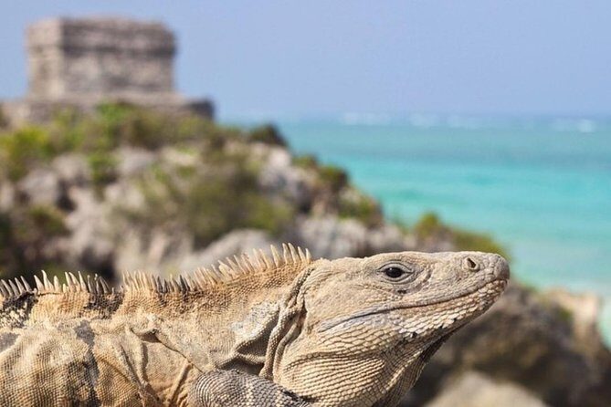 Coba, Tulum & Cenote swim - Frequently Asked Questions