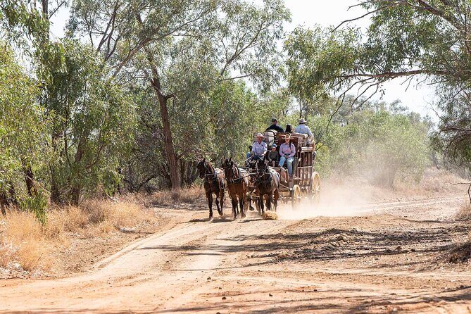 Cobb & Co Stagecoach Experience in Longreach - A Deep Dive into the Tour Itself