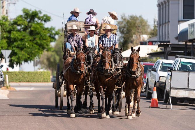 Cobb & Co Stagecoach Experience in Longreach - Who Should Consider This Tour?