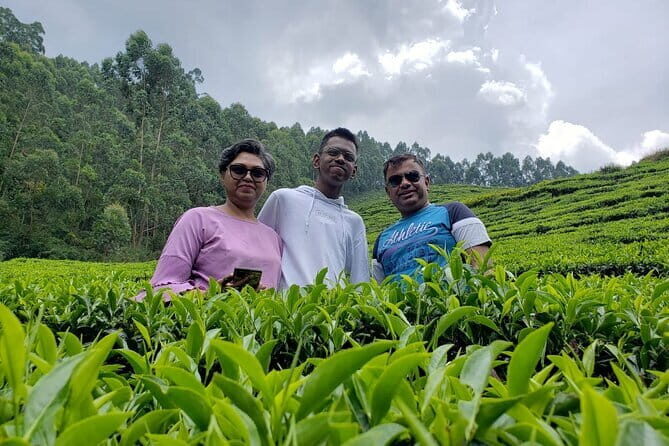 Cochin Airport Transfer(Private) - The Value of Private Transportation in Kochi