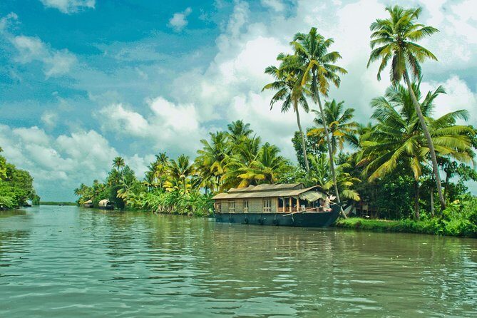 Cochin City or Backwater Shore Excursions from Cruise Terminal - The Itinerary Options: Tailoring Your Experience