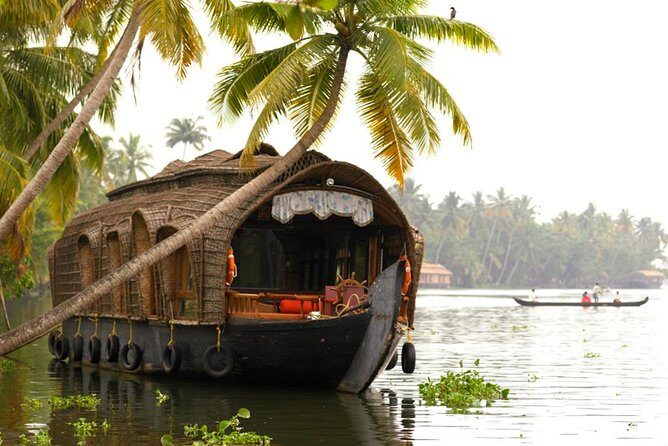 Cochin City or Backwater Shore Excursions from Cruise Terminal - Authentic Local Life & Cultural Insights