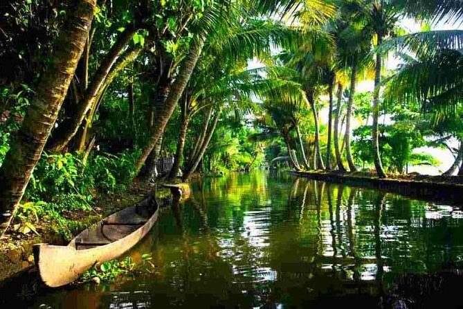Cochin Heritage Tour With Alleppey Houseboat Cruise - Exploring Kerala in a Day: What to Expect