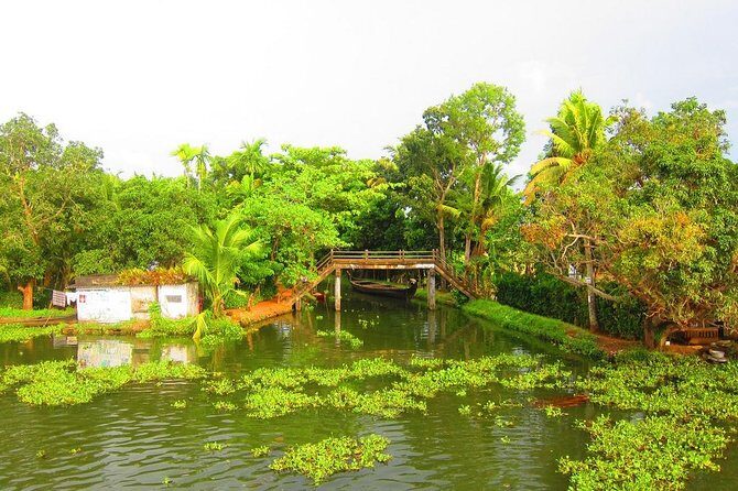 Cochin Shore Excursions from Cruise Terminal - The Sum Up