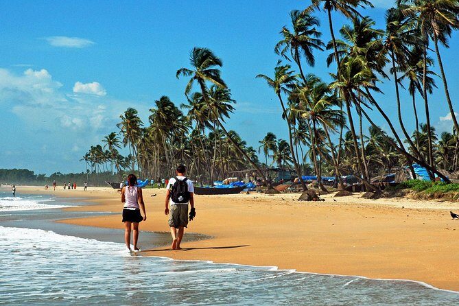 Cochin to Alleppey & Marari Beach (3 Days) - A Complete Guide to Your 3-Day Kerala Escape