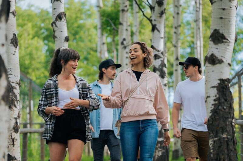 Cochrane: Yamnuska Wolfdog Sanctuary Tour - What to Expect from the Yamnuska Wolfdog Sanctuary Tour