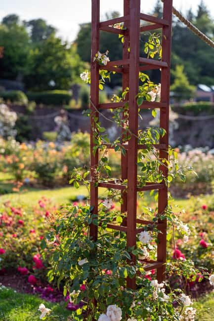 Cockington: Sunset Sketch and Stroll with Sketch Kit - Frequently Asked Questions