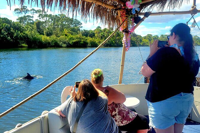 Cocoa Beach 2 Hour Dolphin Sightseeing tour- public - Key Points
