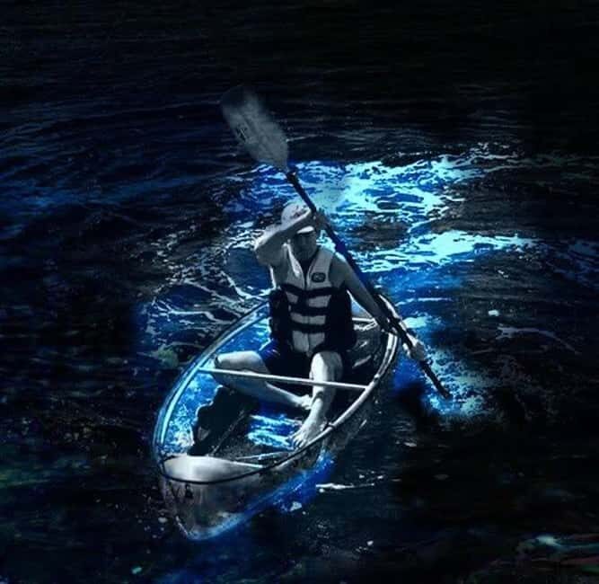 Cocoa Beach: Clear Kayak Bioluminescence Tour - What Youll Experience