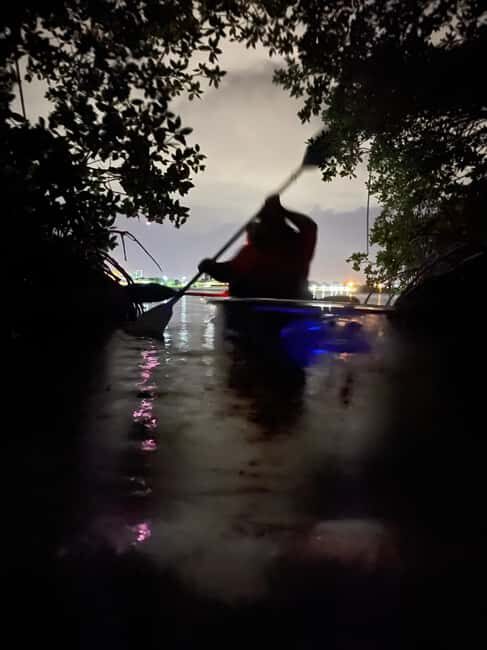 Cocoa Beach: Clear Kayak Sunset & Bioluminescence Tour - Key Points