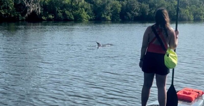 Cocoa Beach: Dolphin and Manatee Kayak or Paddle Tour - Final Thoughts