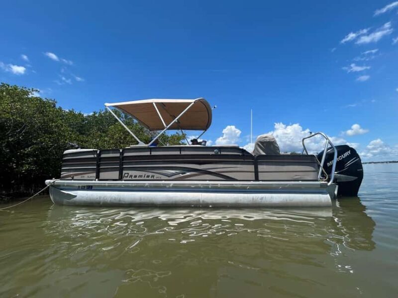 Cocoa Beach: Dolphin & Manatee Pontoon Cruise - Exploring the Details of the Cocoa Beach Dolphin & Manatee Pontoon Cruise