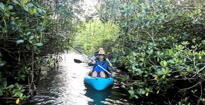 Cocoa Beach/Merritt Island: Guided Dolphin and Manatee Tour - Why This Tour Stands Out