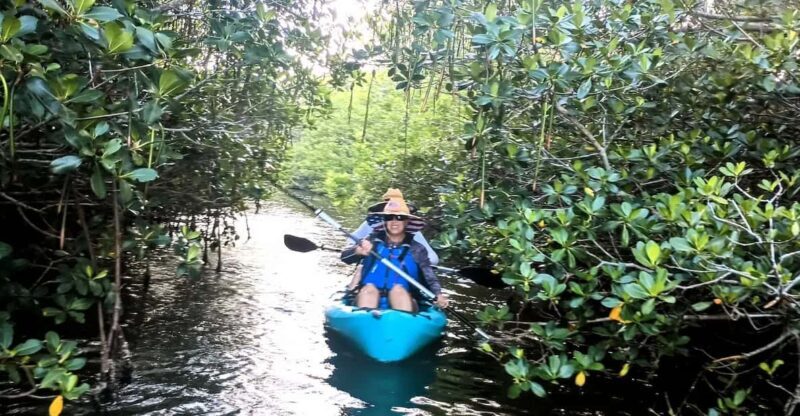 Cocoa Beach/Merritt Island: Guided Dolphin and Manatee Tour - Practical Tips for Participants