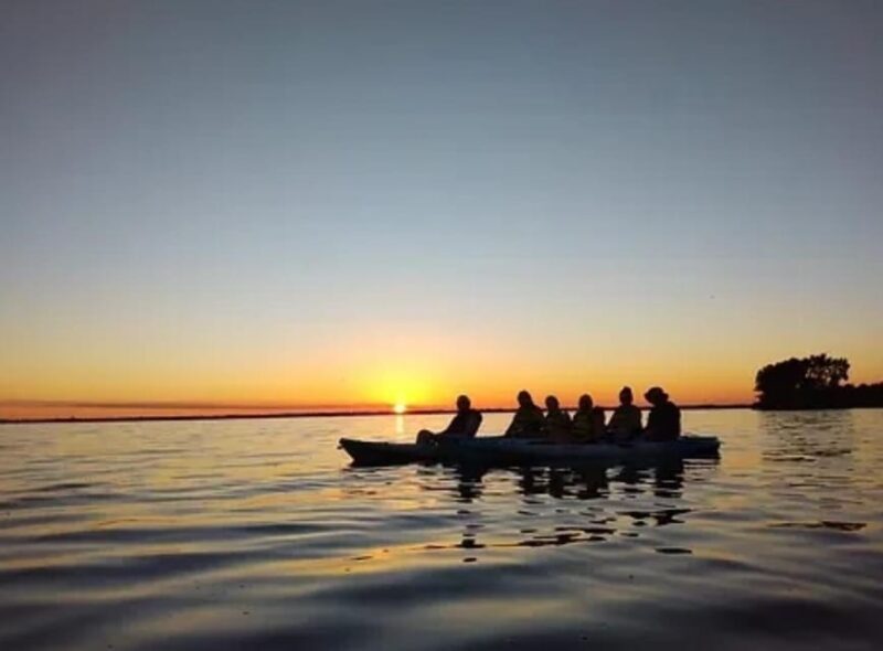 Cocoa Beach/Merritt Island: Guided Dolphin and Manatee Tour - FAQs