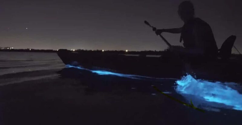 Cocoa Beach/Merritt Island:Bioluminescent kayak tour - The Bottom Line: Is It Worth It?