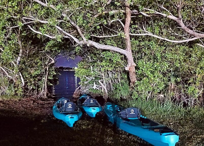 Cocoa Beach/Merritt Island:Bioluminescent kayak tour - FAQs