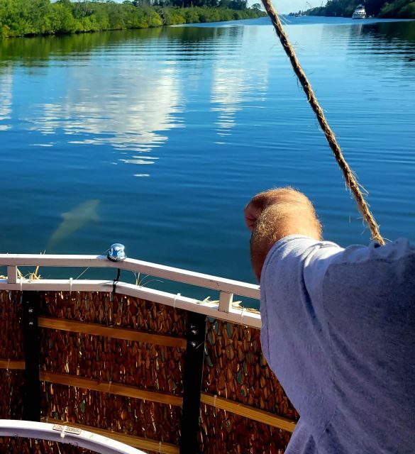 Cocoa Beach: Private 2-Hour Dolphin Sightseeing Tour - Key Points