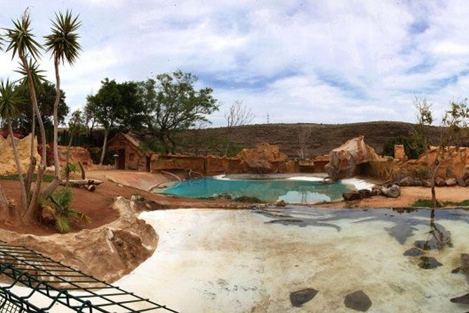 Cocodrilo Park Zoo Admission Ticket in Agüimes - The Sum Up