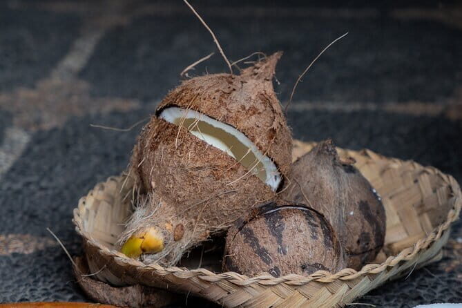 Coconut Oil Making Process - A Detailed Look at the Coconut Oil Making Tour