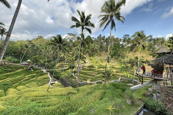 coconut wine and coffee safary tour - Who Would Love This Tour?
