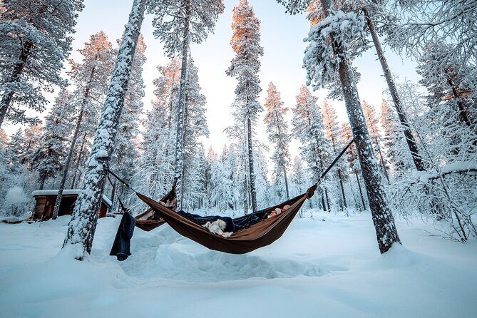 Cocooning in the HaliPuu forest: The ultimate Arctic hammock relaxation - Exploring the HaliPuu Forest: A Unique Finnish Retreat