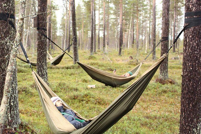 Cocooning in the HaliPuu forest: The ultimate Arctic hammock relaxation - Who Should Consider This Experience?