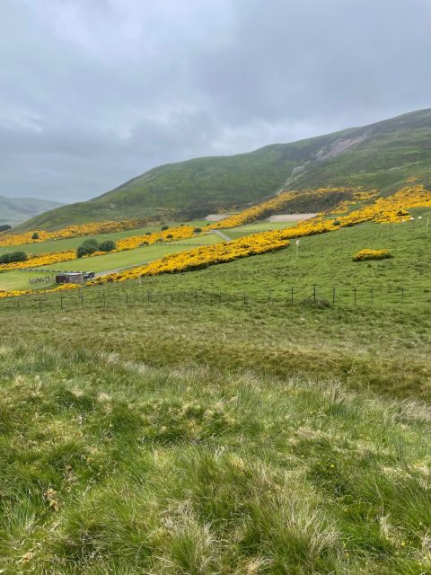 Codebreakers' Choice: Rosslyn Chapel & the Da Vinci Code - The Itinerary in Detail