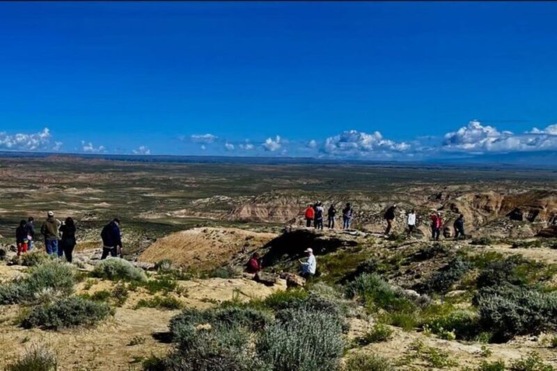 Cody: Red Canyon Wild Mustang Tour - The Value of the Cody Mustang Tour
