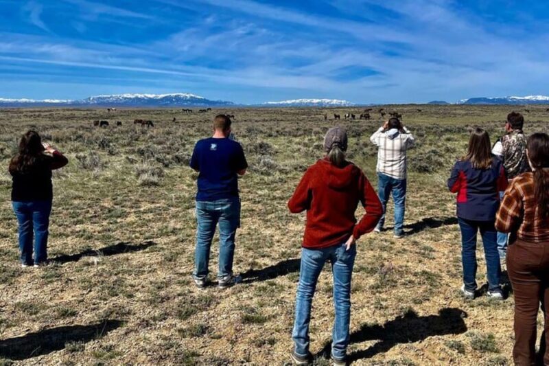 Cody: Red Canyon Wild Mustang Tour - FAQ