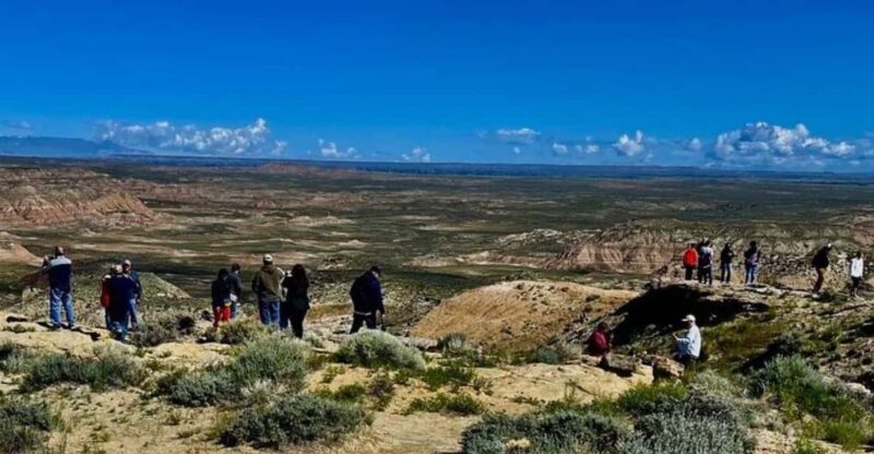 Cody: Wild Mustang Small Group Eco Tour - What to Expect from the Cody Wild Mustang Eco Tour