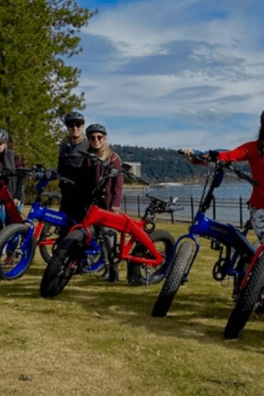 Coeur dAlene: E-Bike Rental - What to Expect from the Rental Experience